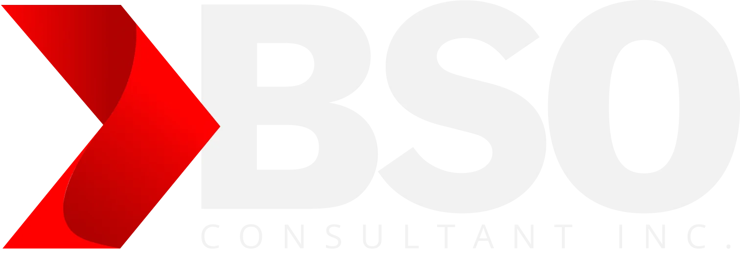 BSO Consultant